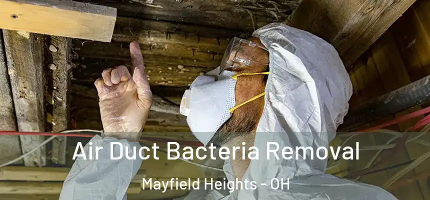 Air Duct Bacteria Removal Mayfield Heights - OH