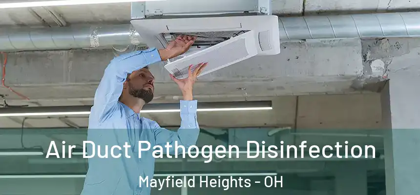 Air Duct Pathogen Disinfection Mayfield Heights - OH