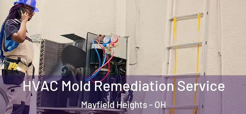  HVAC Mold Remediation Service Mayfield Heights - OH