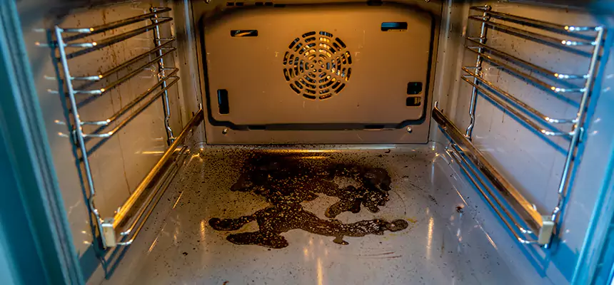 Our Dryer Vent Mold Cleaning Services in Mayfield Heights, OH