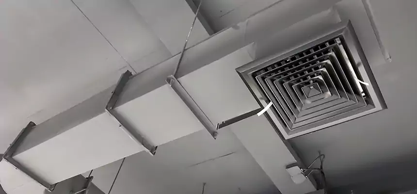 Our Pest Removal From Ducts Services in Mayfield Heights, OH