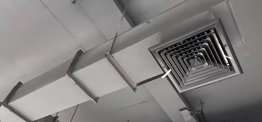 Our Rodent Droppings In Vents Services in Mayfield Heights, OH