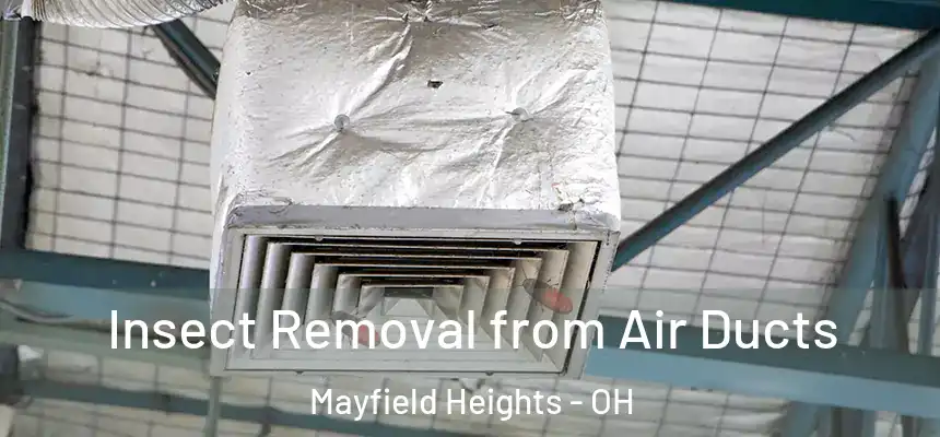  Insect Removal from Air Ducts Mayfield Heights - OH