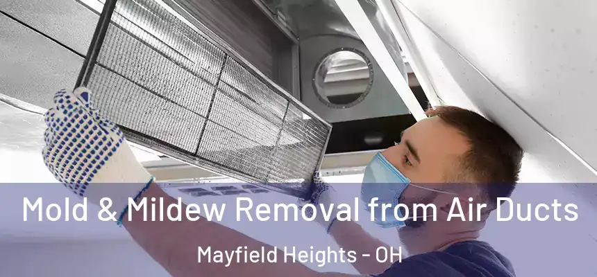  Mold & Mildew Removal from Air Ducts Mayfield Heights - OH