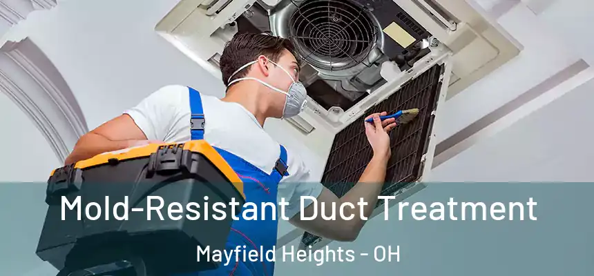 Mold-Resistant Duct Treatment Mayfield Heights - OH