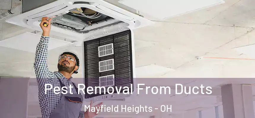  Pest Removal From Ducts Mayfield Heights - OH