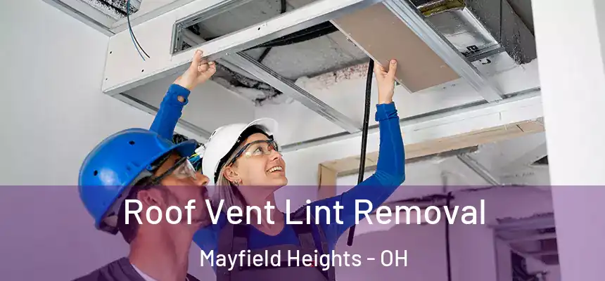 Roof Vent Lint Removal Mayfield Heights - OH