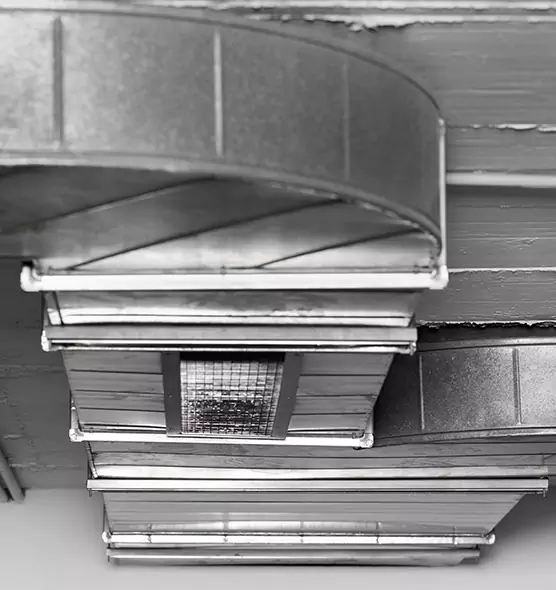 Professional Air Duct Pest Removal in Mayfield Heights, OH