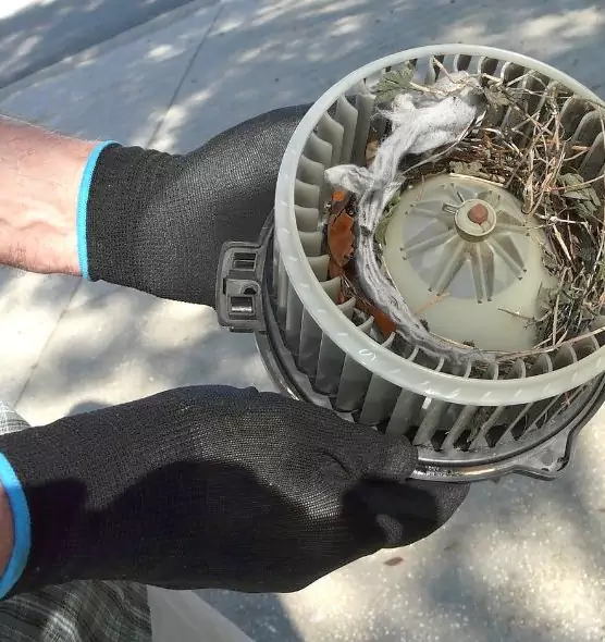 About Air Duct Rat Removal in Mayfield Heights, OH