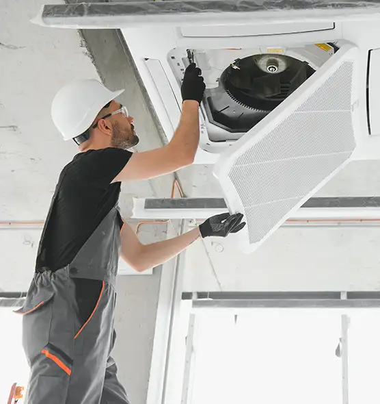 About Air Duct Rodent Removal in Mayfield Heights, OH