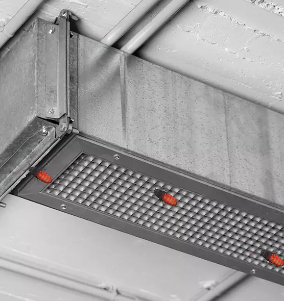 Affordable Insect Removal from Air Ducts in Mayfield Heights, OH