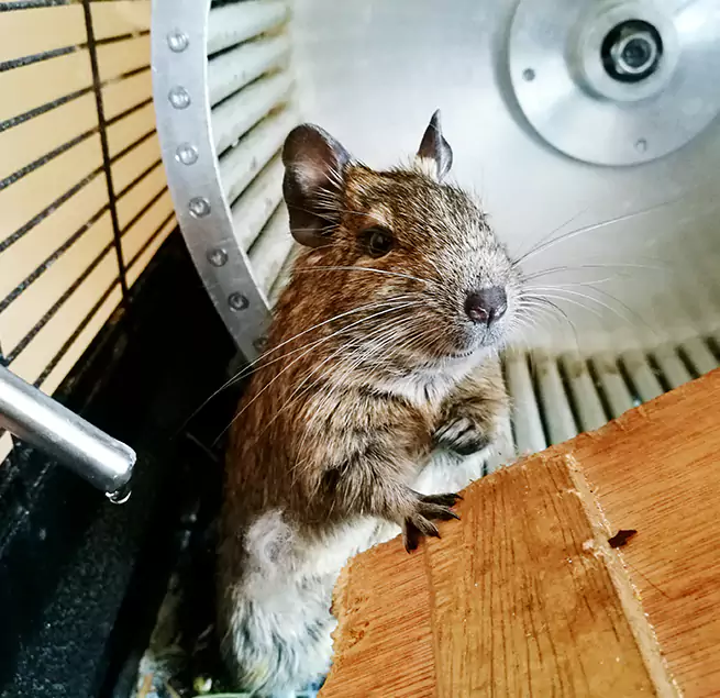 Why Homeowners & Businesses Trust Us Mayfield Heights, OH